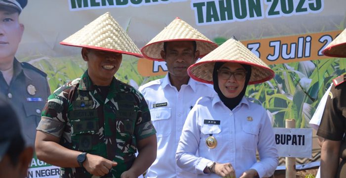 Bupati Way Kanan Dukung Swasembada Pangan, Tanam Jagung Bareng Kajati Lampung